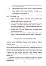 Referāts 'Finansiālo rādītāju analīze SIA "X"', 12.