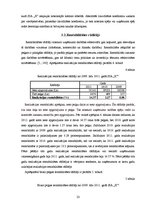 Referāts 'Finansiālo rādītāju analīze SIA "X"', 23.