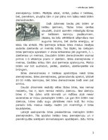 Referāts 'Bišu saimes dzīve', 3.