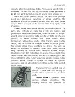 Referāts 'Bišu saimes dzīve', 6.