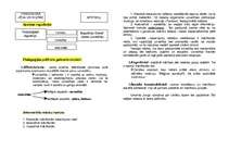 Referāts 'Pedagoģiskā psiholoģija', 3.