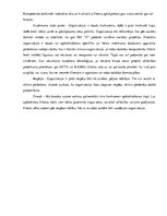 Prakses atskaite 'Cilvēkresursu vadības prakses atskaite', 65.