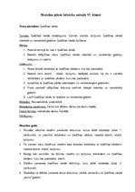 Konspekts 'Stundas plāns latviešu valodā 11.klasei', 1.