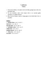 Konspekts 'Stundas plāns latviešu valodā 11.klasei', 3.