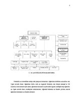 Prakses atskaite 'Prakses atskaite pašvaldības aģentūrā "Mālkalne"', 6.