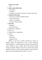 Referāts 'Radiosakari, rokas instrumenti, ugunsdzēsības stobri, ugunsdzēsības kāpnes un vi', 7.