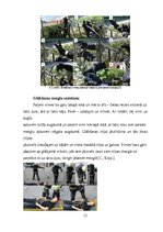 Referāts 'Radiosakari, rokas instrumenti, ugunsdzēsības stobri, ugunsdzēsības kāpnes un vi', 11.