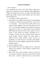Referāts 'Radiosakari, rokas instrumenti, ugunsdzēsības stobri, ugunsdzēsības kāpnes un vi', 13.