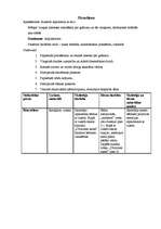 Prakses atskaite 'Integrētā prakse pirmsskolā', 4.