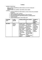 Prakses atskaite 'Integrētā prakse pirmsskolā', 7.