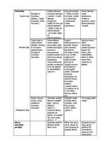 Prakses atskaite 'Integrētā prakse pirmsskolā', 8.