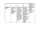 Prakses atskaite 'Integrētā prakse pirmsskolā', 9.