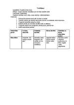 Prakses atskaite 'Integrētā prakse pirmsskolā', 10.