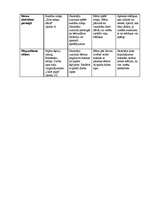 Prakses atskaite 'Integrētā prakse pirmsskolā', 12.