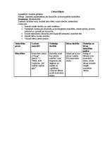 Prakses atskaite 'Integrētā prakse pirmsskolā', 13.