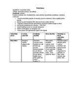 Prakses atskaite 'Integrētā prakse pirmsskolā', 16.