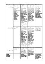 Prakses atskaite 'Integrētā prakse pirmsskolā', 17.