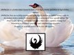 Prezentācija 'Fashion House "Swan"', 2.