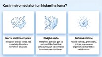 Prezentācija 'Histamīns', 2.