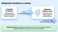 Prezentācija 'Histamīns', 4.
