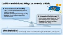 Prezentācija 'Histamīns', 5.