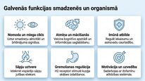 Prezentācija 'Histamīns', 6.