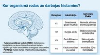 Prezentācija 'Histamīns', 7.