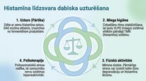 Prezentācija 'Histamīns', 10.