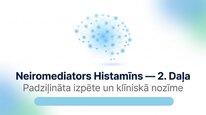 Prezentācija 'Histamīns', 12.