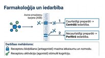 Prezentācija 'Histamīns', 16.