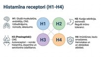 Prezentācija 'Histamīns', 18.