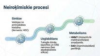 Prezentācija 'Histamīns', 19.