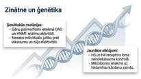 Prezentācija 'Histamīns', 22.