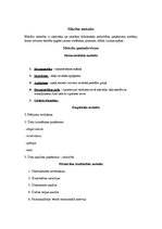 Konspekts 'Praktiskais darbs pieaugušo pedagoģijā - mācību metodes', 2.