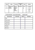 Konspekts 'Praktiskais darbs pieaugušo pedagoģijā - mācību metodes', 6.