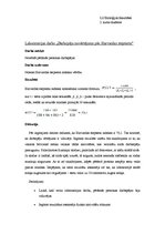 Paraugs 'Darbspēju novērtējums pēc Harvardas steptesta', 1.