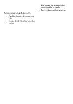 Konspekts 'Baroka, renesanses un rokoko stila raksturojums', 5.