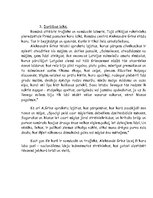 Konspekts 'Aleksandrs Grīns "Dvēseļu putenis"', 3.