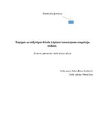 Referāts 'Kopīgais un atšķirīgais klinšu kāpšanā izmantojamo magnēziju veidiem.', 1.