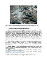 Referāts 'Kopīgais un atšķirīgais klinšu kāpšanā izmantojamo magnēziju veidiem.', 11.