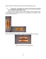 Referāts 'Kopīgais un atšķirīgais klinšu kāpšanā izmantojamo magnēziju veidiem.', 16.