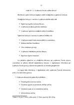 Diplomdarbs 'SIA "KTB Stende" finanšu analīze', 20.