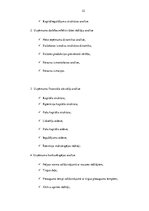 Diplomdarbs 'SIA "KTB Stende" finanšu analīze', 21.