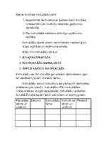 Konspekts 'Instruktāža', 1.
