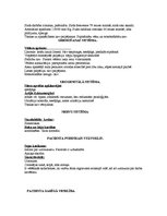 Prakses atskaite 'Aprūpes plāns pacientam ar bronhītu', 6.