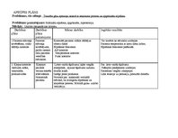 Prakses atskaite 'Aprūpes plāns pacientam ar bronhītu', 18.