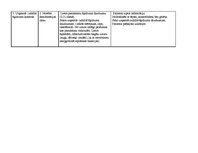 Prakses atskaite 'Aprūpes plāns pacientam ar bronhītu', 19.