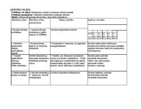 Prakses atskaite 'Aprūpes plāns pacientam ar bronhītu', 20.