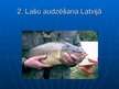 Prezentācija 'Zivkopība. Lašu audzēšana. Valsts un privātās zivju audzētavas', 11.
