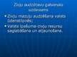 Prezentācija 'Zivkopība. Lašu audzēšana. Valsts un privātās zivju audzētavas', 24.